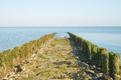 Scenic view of sea against clear sky