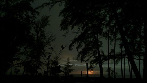 Silhouette trees against scenic sky