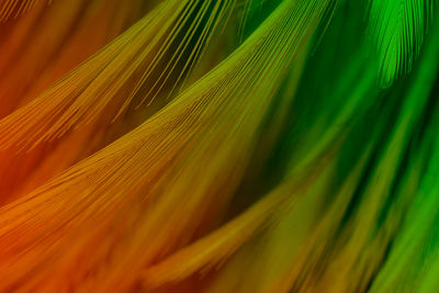 Full frame shot of orange leaf