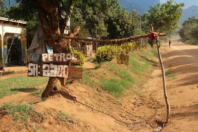 Information sign on tree