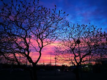 Silhouette tree against sky at sunset