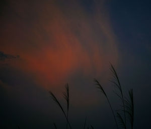 Scenic view of landscape against sky at sunset