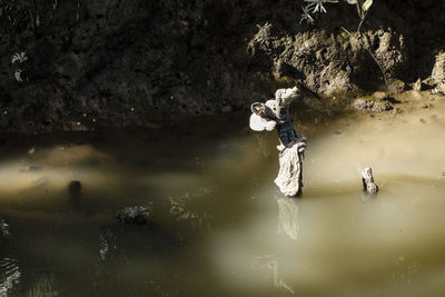 People in water against trees