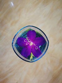 High angle view of purple flower in glass on table