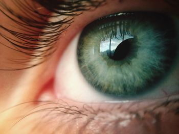 Detail shot of human eye with lashes