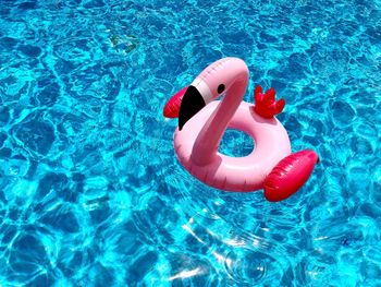 High angle view of ring floating on swimming pool