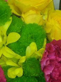 Full frame shot of yellow roses