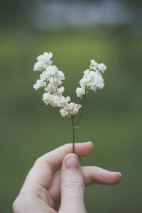hand