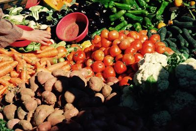 Close-up of hand holding vegetables