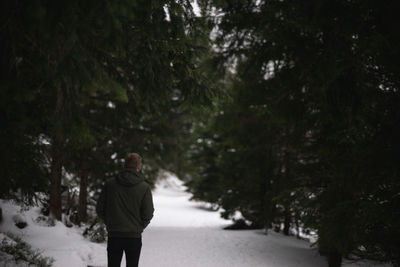 Rear view of man standing against trees during winter