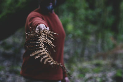 Rear view of woman standing in forest