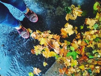 Low section of woman standing by autumn leaves