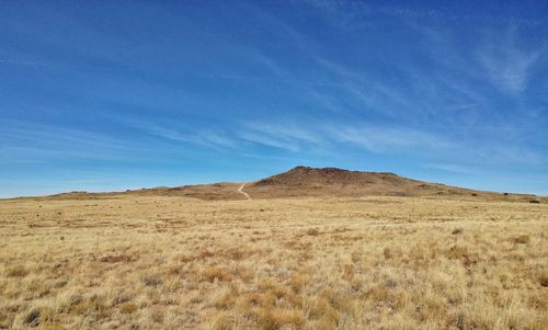 Scenic view of field against blue sky