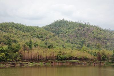 Calm lake with trees in background