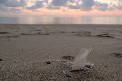 Smartphone display plastic film garbage on cilento italy sea coast on sunset time