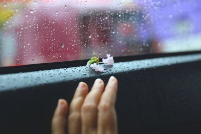 Rain drops on wet glass of car window