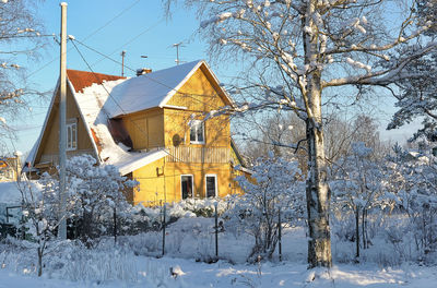 Snow covered houses and trees and buildings in city