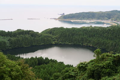 Scenic view of river amidst trees against sky