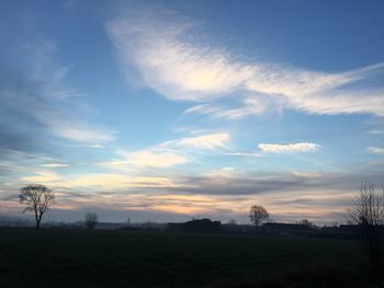 Silhouette trees against sky during sunset