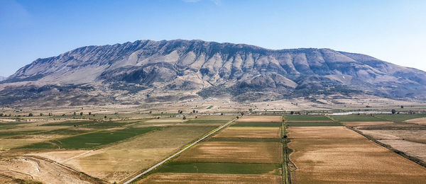 Scenic view of agricultural field against clear sky