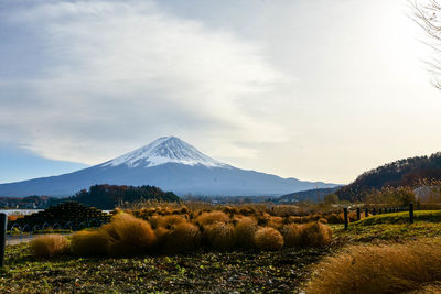 Fuji mountains in autumn  at kawaguchiko lake, japan