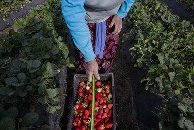 Low section of person standing by plants