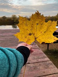 Person holding maple leaf against sky during autumn
