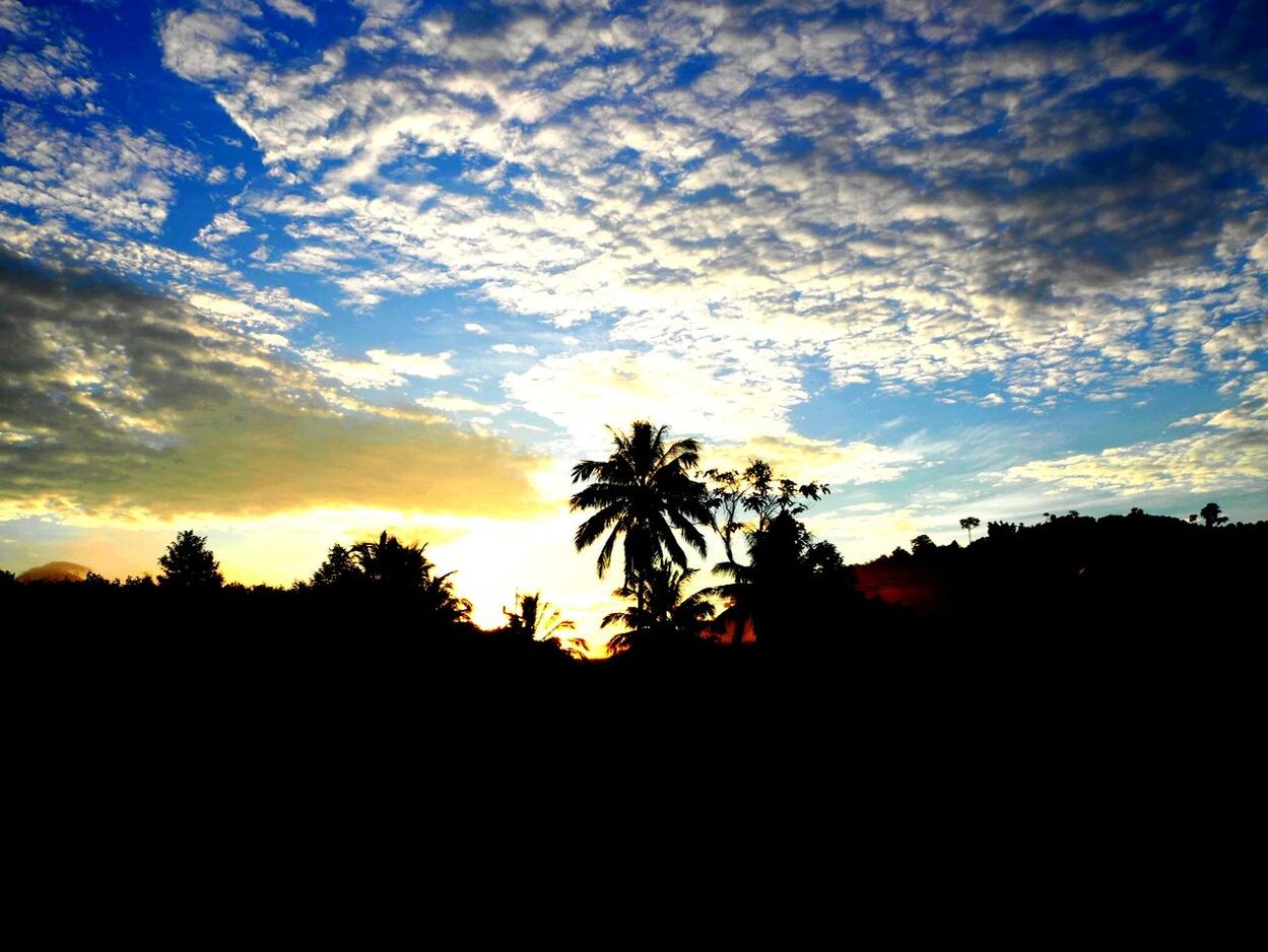 silhouette, sunset, sky, tree, tranquility, tranquil scene, beauty in nature, scenics, nature, cloud - sky, palm tree, landscape, cloud, dark, outline, growth, idyllic, low angle view, dusk, outdoors