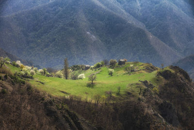 Scenic view of meadow against mountain