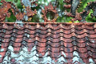 Close-up of roof