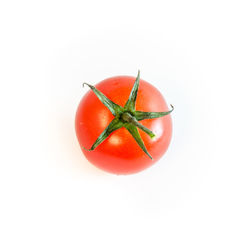 High angle view of tomatoes against white background