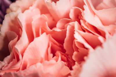 Full frame shot of pink rose bouquet