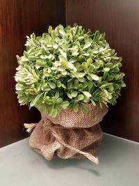 Close-up of flowers on table