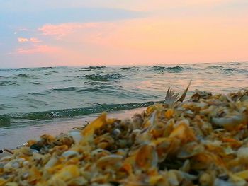 Scenic view of sea at sunset