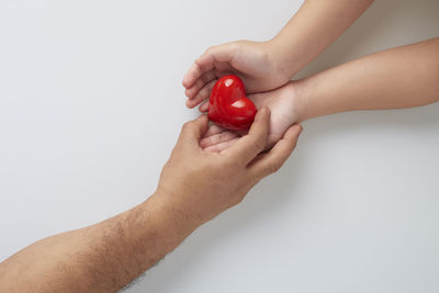 Close-up of hand holding red rose over white background