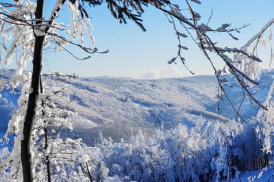 Scenic view of snowcapped mountain against sky