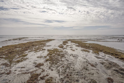 Coastal scene at swami's beach. encinitas, ca, usa.