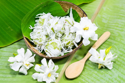 High angle view of white flowering plant leaves