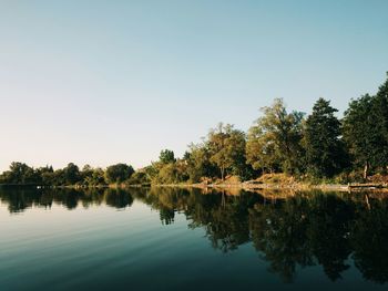 Reflection of trees in calm lake