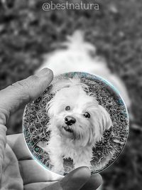 Portrait of man holding dog