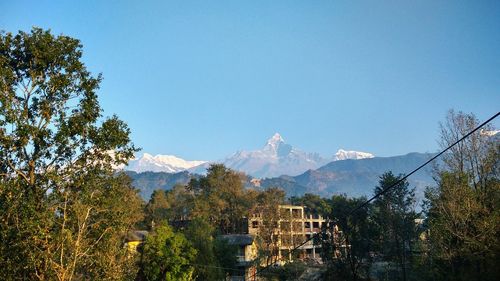 Panoramic shot of trees and buildings against sky