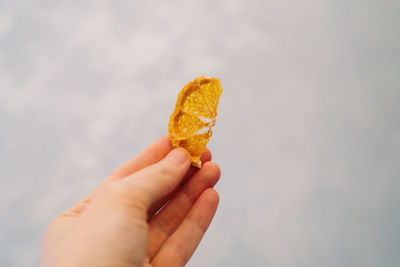 Close-up of hand holding leaf