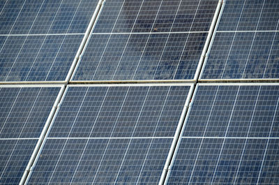 environmental conservation