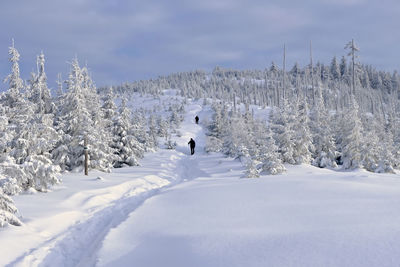 Scenic view of snow covered field against sky