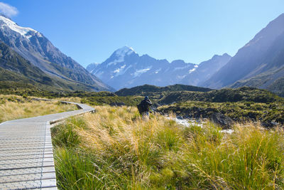 Rear view of man standing on grassy land against mountains