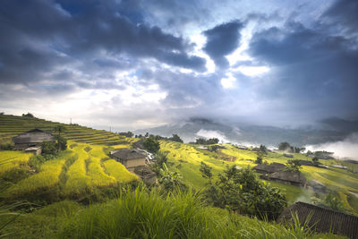 Scenic view of agricultural field against cloudy sky