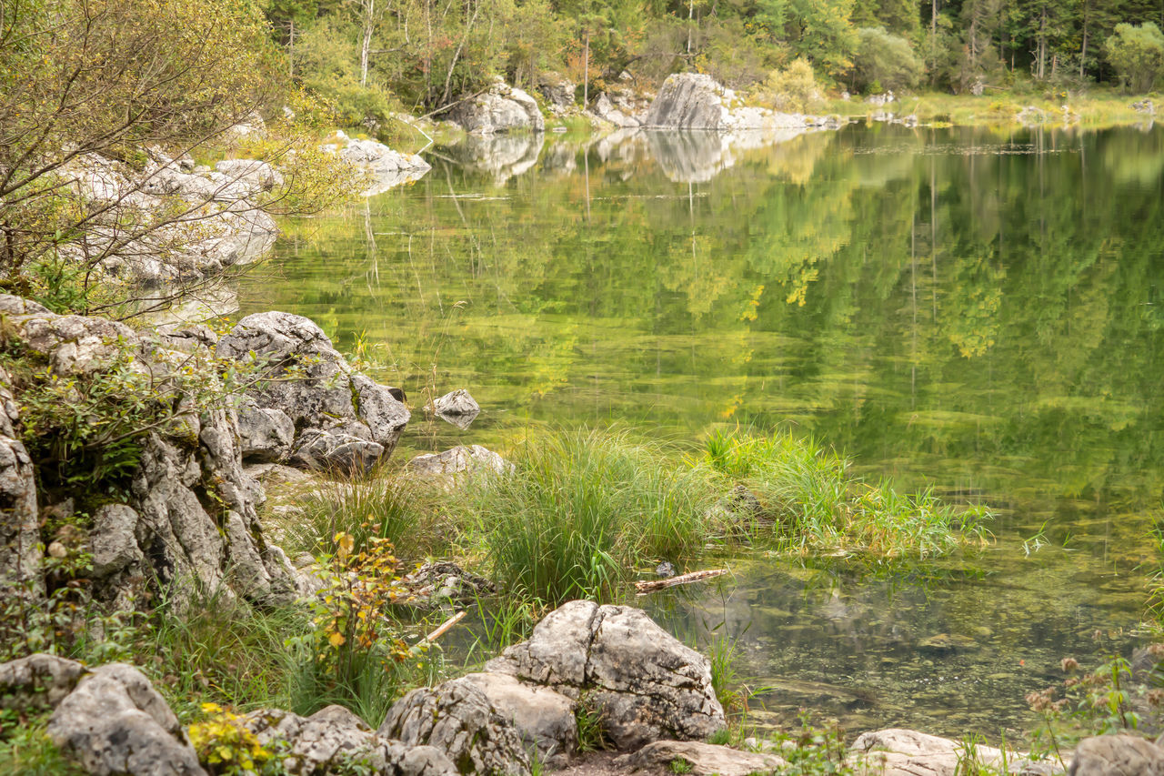 VIEW OF DUCKS ON ROCK