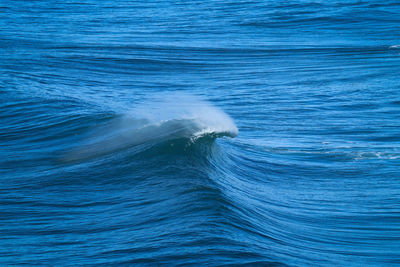 Perfect waves breaking perfectly in nazare portugal