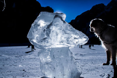 View of horse on snow covered field