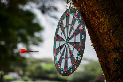 Close-up of ferris wheel hanging from tree